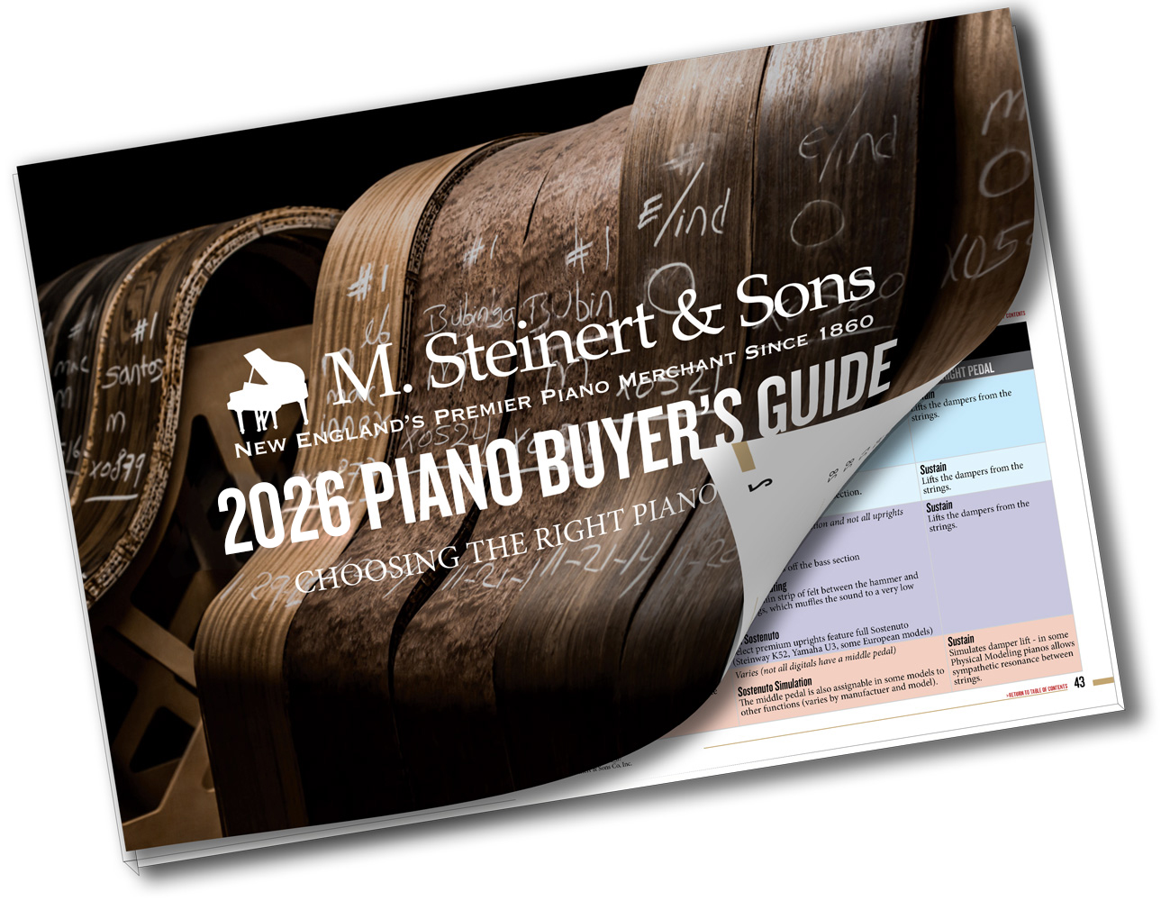 真琴9弦 9弦大正琴（錦正琴）による簡易3コードソロの弾き方 | アサフ ヨシヤ